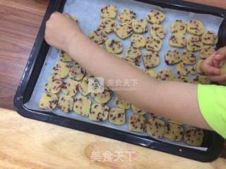 Cranberry Cookies recipe