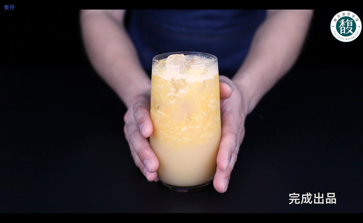 Fresh Orange Juice Lactobacillus recipe