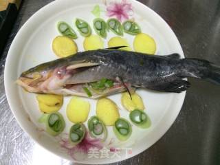 Steamed Yellow Bone Fish recipe