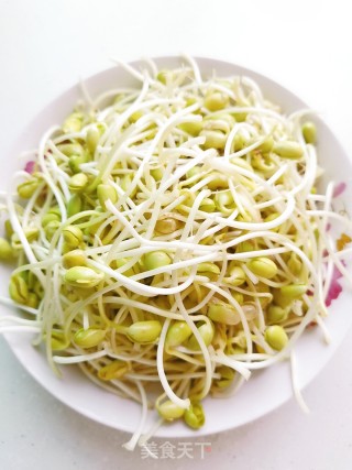 Homemade Soybean Sprouts recipe
