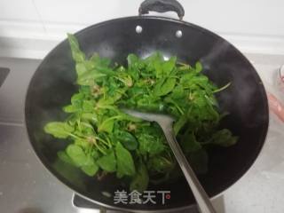 Vegetarian Stir-fried Spinach recipe