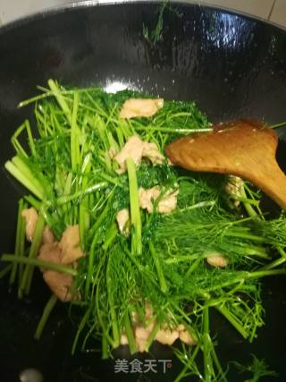 Fried Fennel Seedlings with Lean Meat recipe