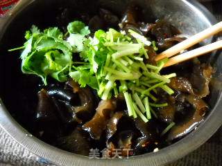 Spicy Fragrant Black Fungus recipe