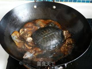 Braised Turtle recipe