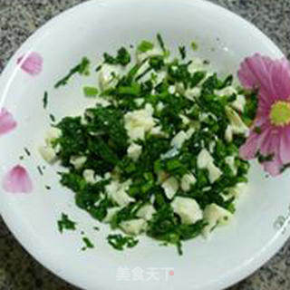 Chrysanthemum Mixed Protein recipe