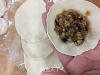 Fungus and Lotus Root Dumplings recipe