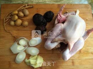 Codonopsis Chestnut Chicken Soup recipe