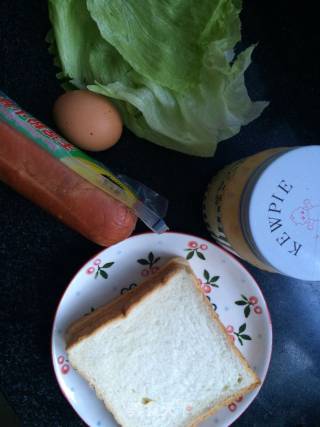 Quick Sandwich recipe