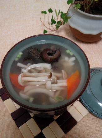 Sea Cucumber Mushroom Soup