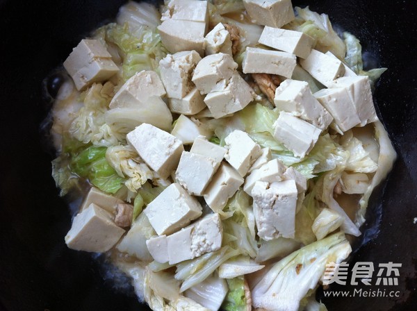 Stir-fried Pork with Cabbage and Tofu recipe