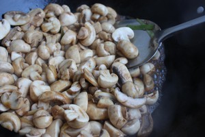 "fresh" and Delicious Simple Quick-handed Dishes-stir-fried Fresh Mushrooms recipe