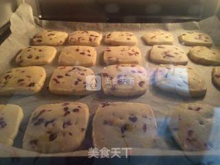 Cranberry Cookies recipe