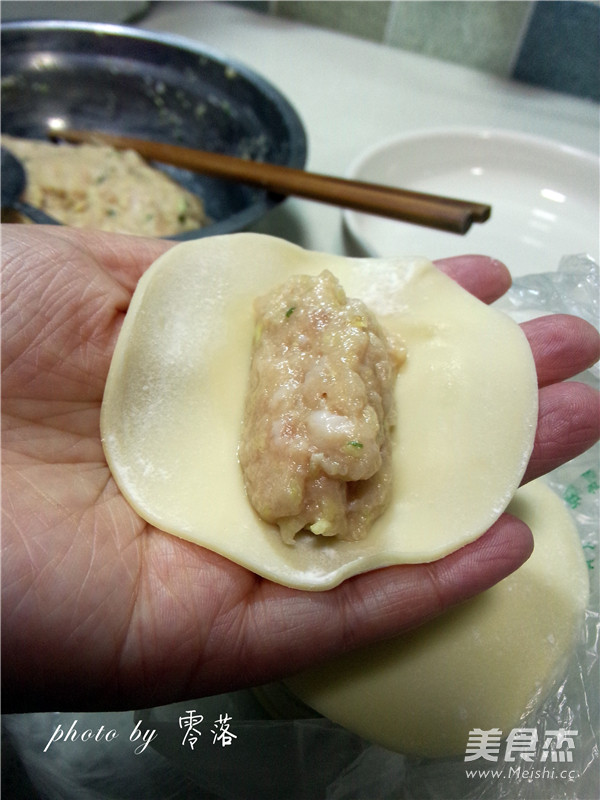 Cabbage Pork Pot Stickers recipe