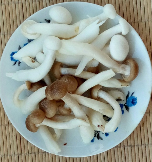 Mushroom Wonton recipe