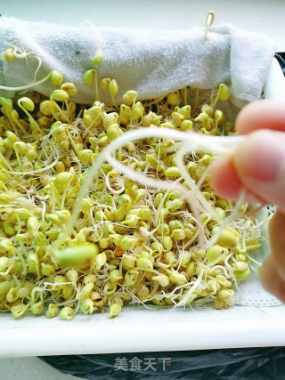 Homemade Soybean Sprouts recipe