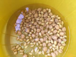 Chickpea Soy Milk recipe