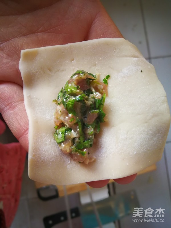 Coriander Meat Wonton recipe