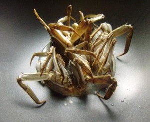 Noodle Crab recipe