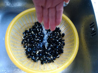 Homemade Black Bean Sprouts recipe