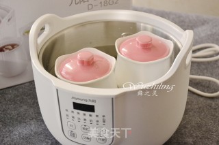【peach Gum White Fungus Soup】 recipe