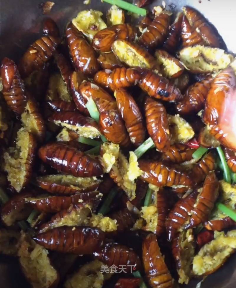 Dry Stir-fried Silkworm Pupa recipe