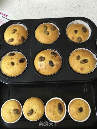 Yogurt Muffin recipe