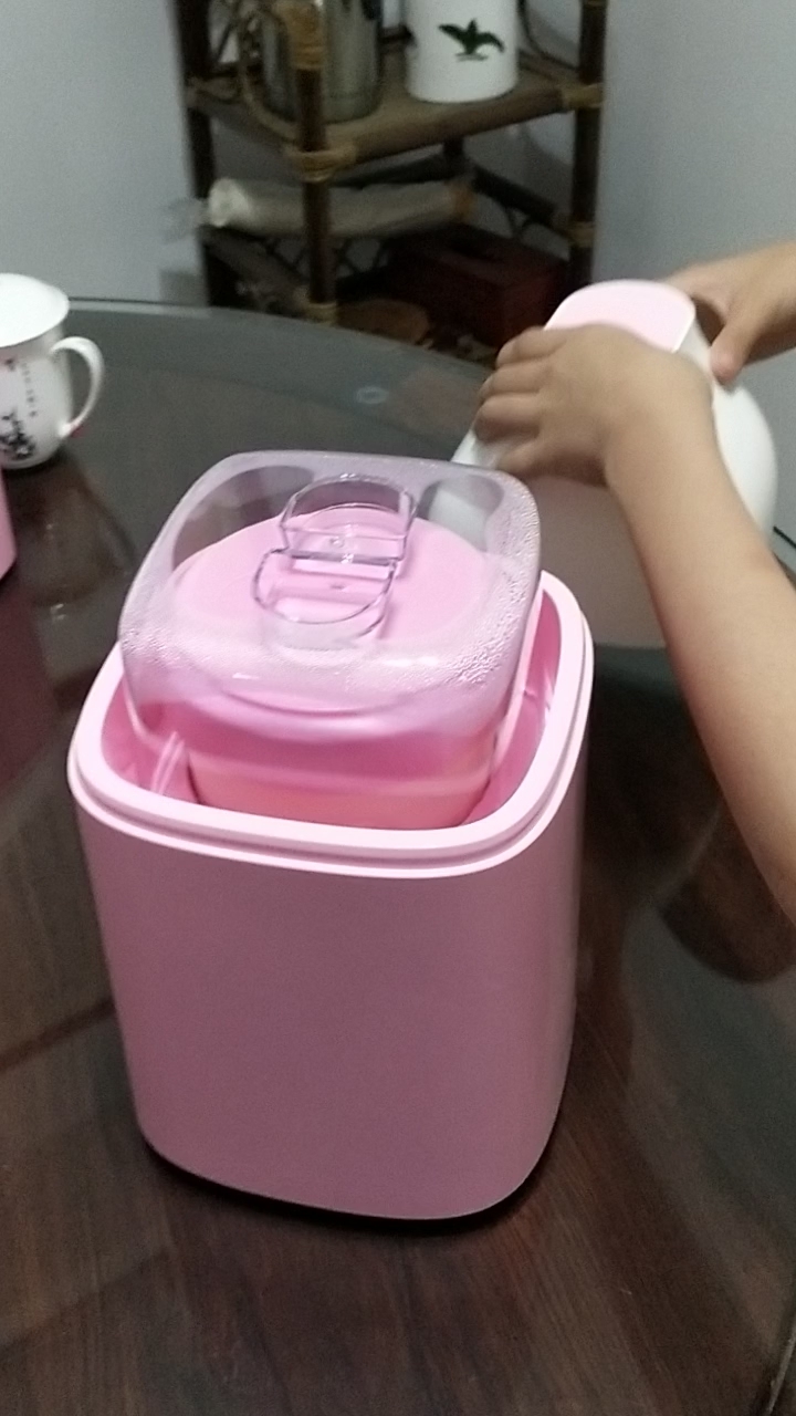 Homemade Yogurt that Children Can Handle recipe