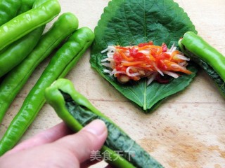 Korean Cuisine Homemade Kimchi-green Chili Stuffed Kimchi recipe