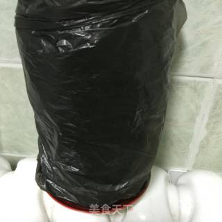 Use Cola Bottle to Grow Bean Sprouts recipe