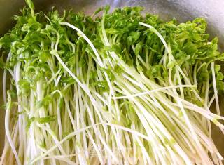 Cold Bean Sprouts Melon Seeds recipe
