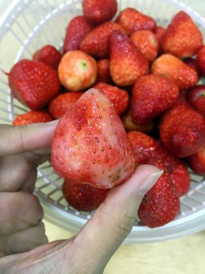 "tinrry Afternoon Tea" Extra Story-strawberry Jam Full of Fleshy recipe