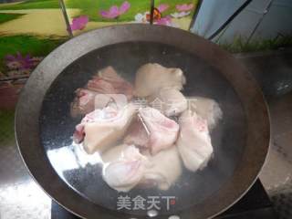 Ganoderma Lucidum Stewed Pig's Trotters recipe