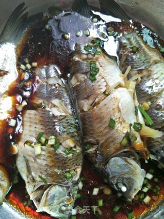 Cold Crucian Carp recipe