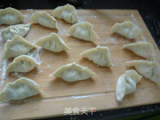 Lamb Fried Dumplings recipe