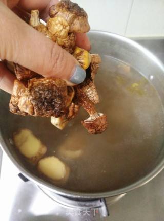 Agaricus Stewed Chicken recipe