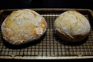 Sea Salt Garlic Polish Country Bread-no Bread Machine recipe