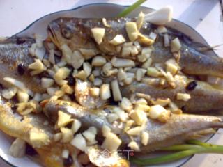 Steamed Yellow Croaker with Shrimp Paste recipe