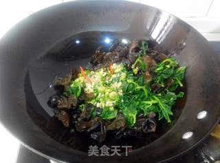 Anti-cellulite and Anti-hypertensive-garlic Tianqi Fungus recipe