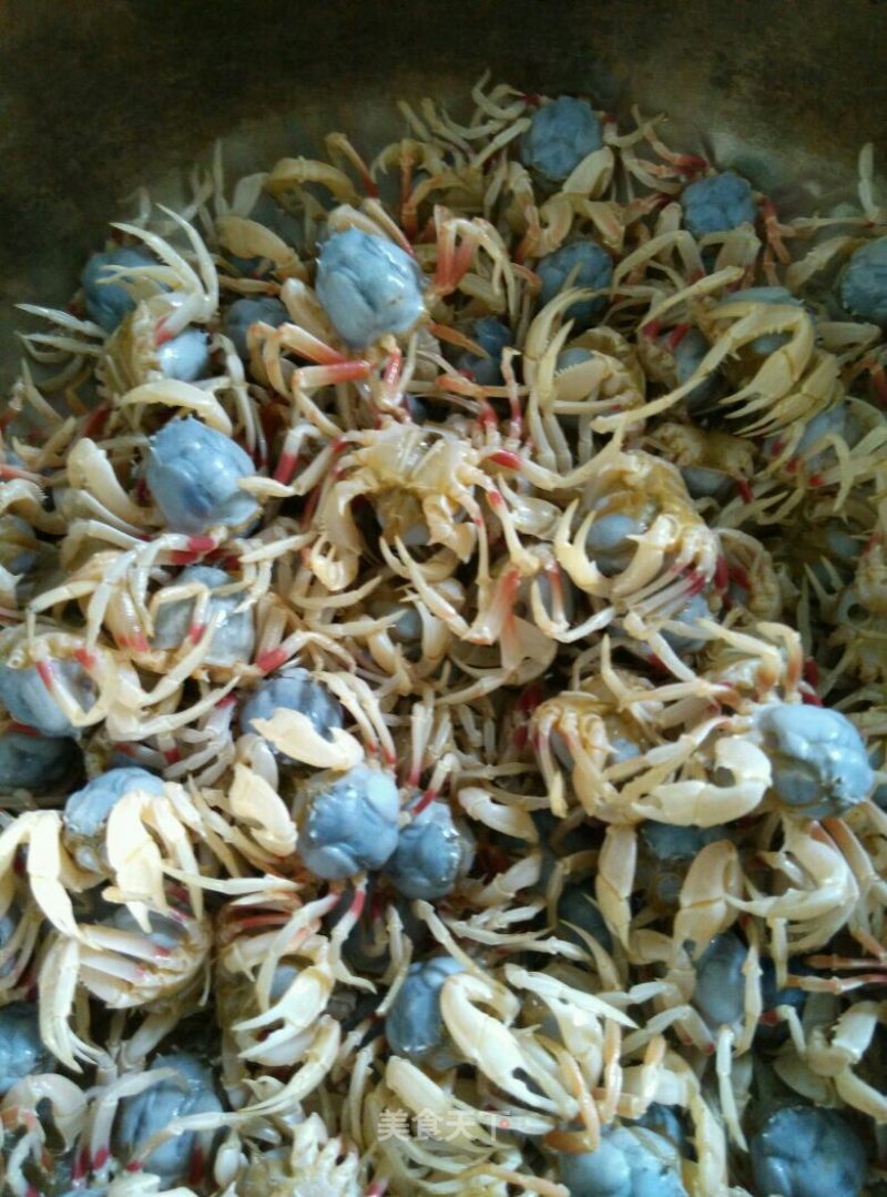 Sand Crab Sauce recipe