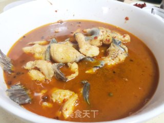 Spicy Tengjiao Fish recipe