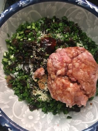 Dumplings with Chinese Chives, Cloud Ears and Meat recipe