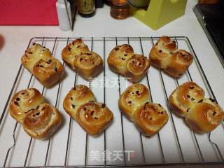 #柏翠大赛# Cranberry Cheese Mini Rolls recipe