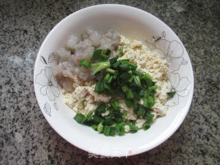 Shrimp and Tofu Dumplings recipe