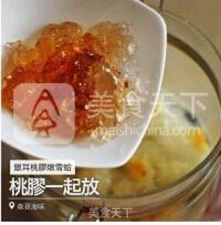 Stewed Hashima with Peach Gum and Tremella recipe