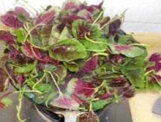 Garlic Sweat Vegetables recipe
