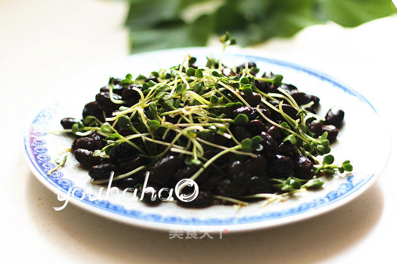 Radish Sprouts Mixed with Black Natto recipe