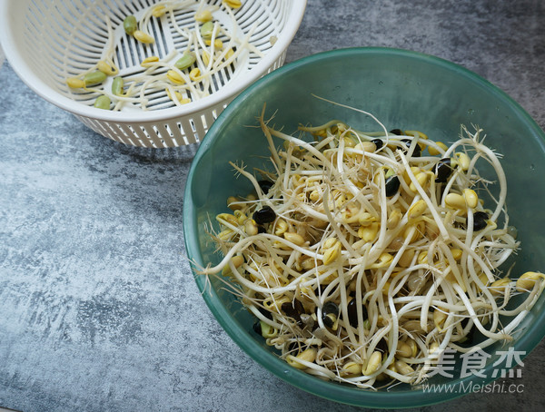 Vegetarian Dishes Taste Meaty-homemade Soybean Sprouts Fried Tofu with Oil recipe