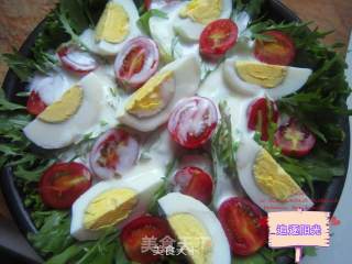 Yogurt and Vegetable Salad--reducing The Burden on Your Intestines and Stomach recipe