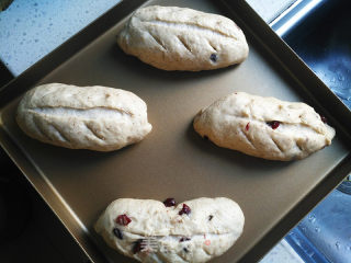 Cranberry Whole Wheat Golden Germ Bread recipe