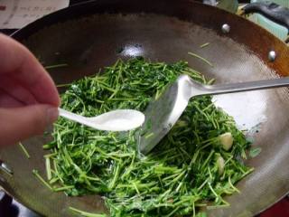 Verdant-fried Pea Sprouts recipe